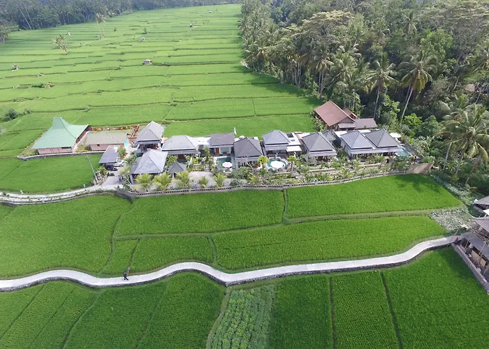 Jj And * Ubud (Bali)