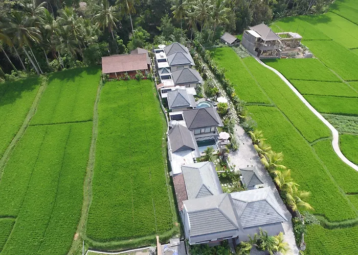 Villa Jj And Ubud (Bali)