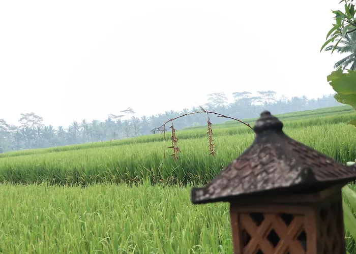 Villa Jj And Ubud (Bali)